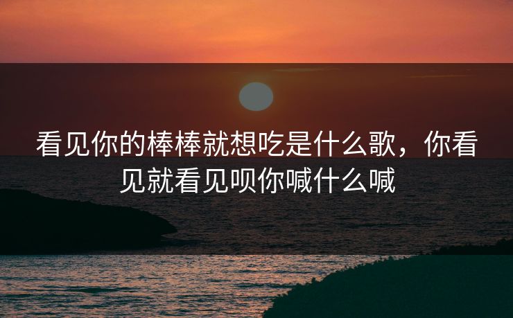 看见你的棒棒就想吃是什么歌，你看见就看见呗你喊什么喊