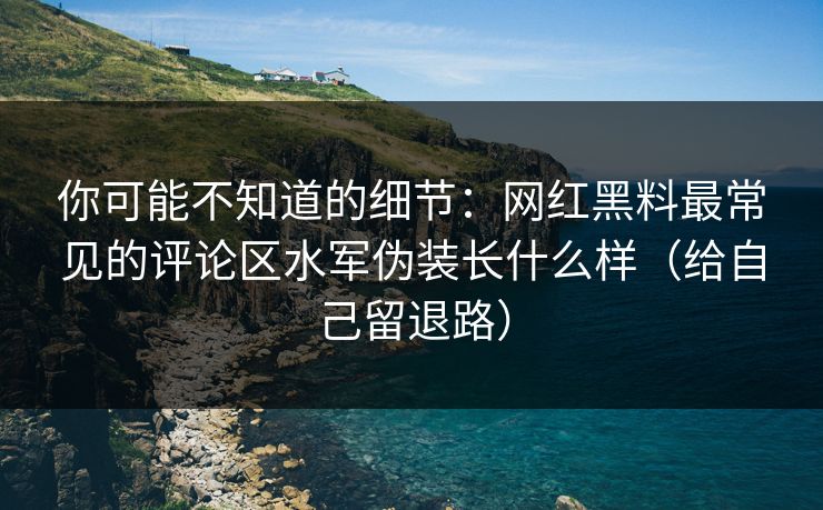 你可能不知道的细节：网红黑料最常见的评论区水军伪装长什么样（给自己留退路）