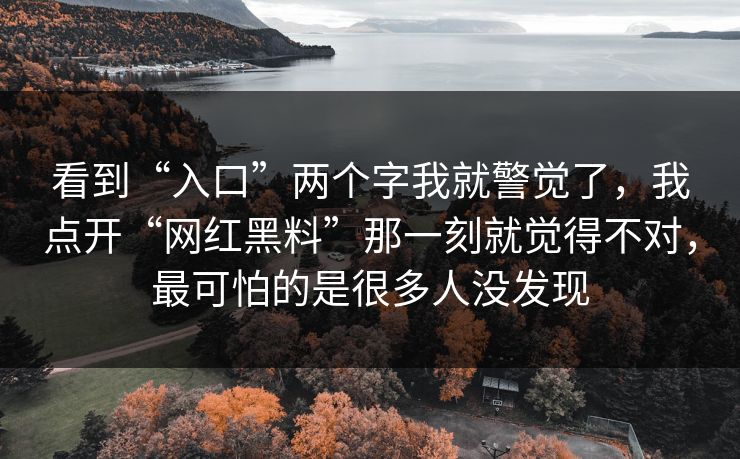 看到“入口”两个字我就警觉了，我点开“网红黑料”那一刻就觉得不对，最可怕的是很多人没发现