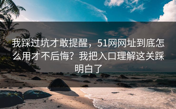 我踩过坑才敢提醒，51网网址到底怎么用才不后悔？我把入口理解这关踩明白了