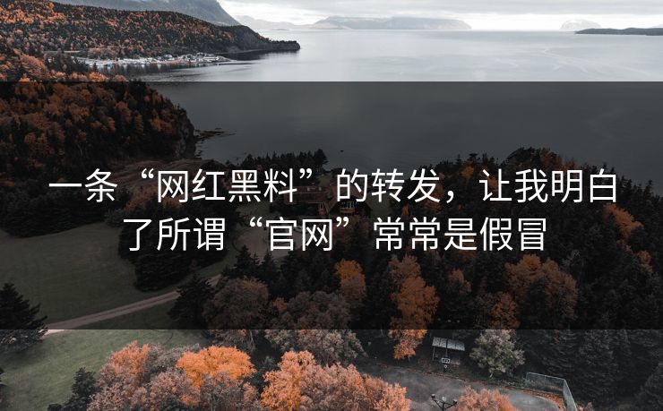 一条“网红黑料”的转发，让我明白了所谓“官网”常常是假冒
