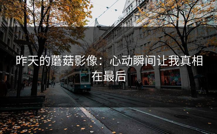 昨天的蘑菇影像：心动瞬间让我真相在最后