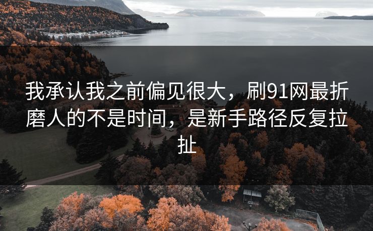 我承认我之前偏见很大，刷91网最折磨人的不是时间，是新手路径反复拉扯