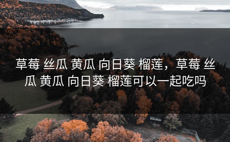 草莓 丝瓜 黄瓜 向日葵 榴莲，草莓 丝瓜 黄瓜 向日葵 榴莲可以一起吃吗